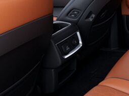 
 Kia Carnival full									