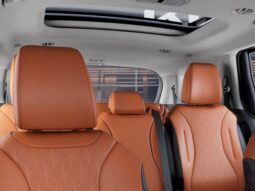 
 Kia Carnival full									