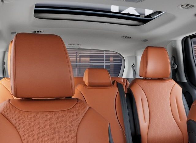
 Kia Carnival full									