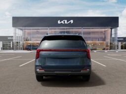 
 Kia Carnival full									