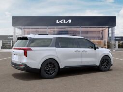 
 Kia Carnival Hybrid full									