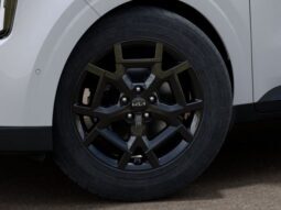 
 Kia Carnival Hybrid full									
