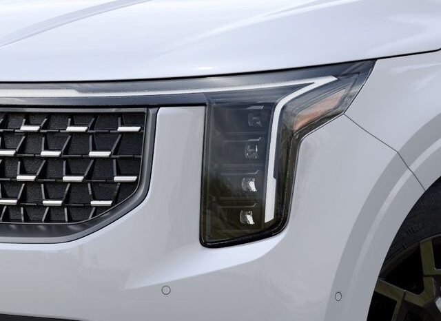 
 Kia Carnival Hybrid full									