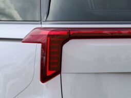 
 Kia Carnival Hybrid full									