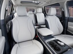 
 Kia Carnival Hybrid full									