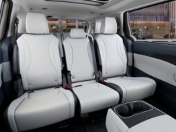 
 Kia Carnival Hybrid full									