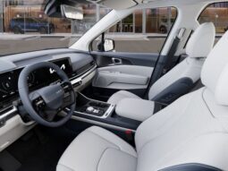 
 Kia Carnival Hybrid full									
