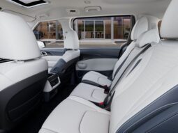 
 Kia Carnival Hybrid full									