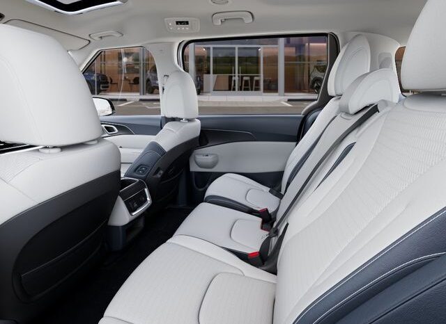 
 Kia Carnival Hybrid full									