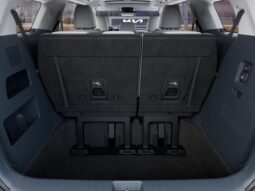 
 Kia Carnival Hybrid full									