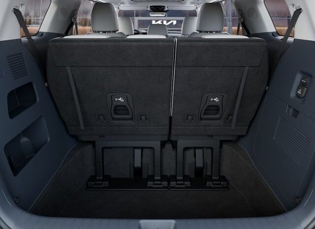 
 Kia Carnival Hybrid full									