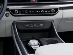 
 Kia Carnival Hybrid full									