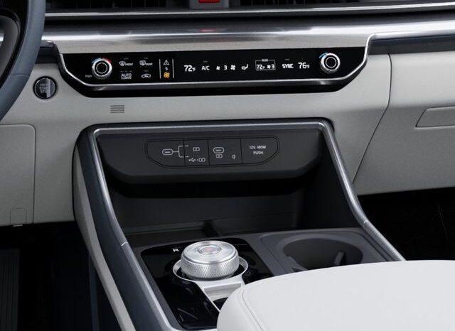 
 Kia Carnival Hybrid full									