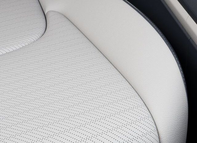 
 Kia Carnival Hybrid full									