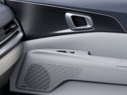 
 Kia Carnival Hybrid full									