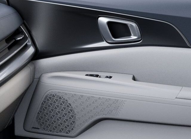 
 Kia Carnival Hybrid full									