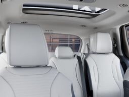 
 Kia Carnival Hybrid full									