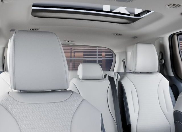 
 Kia Carnival Hybrid full									