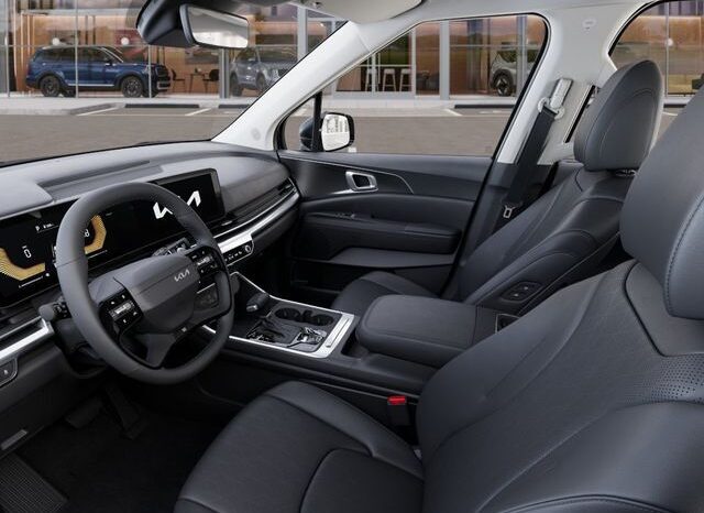 
 Kia Carnival full									