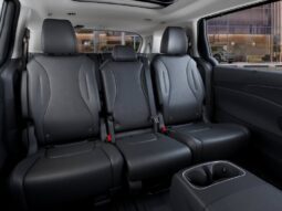 
										Kia Carnival Hybrid full									