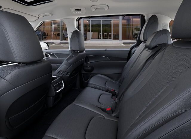 
								Kia Carnival Hybrid full									