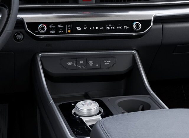 
								Kia Carnival Hybrid full									