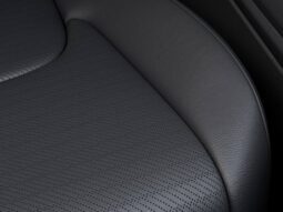 
										Kia Carnival Hybrid full									