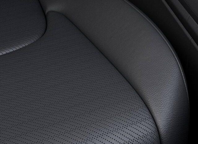 
								Kia Carnival Hybrid full									