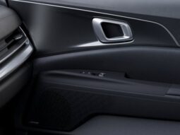 
										Kia Carnival Hybrid full									