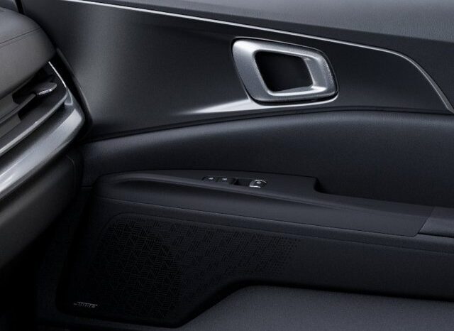 
								Kia Carnival Hybrid full									