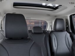 
										Kia Carnival Hybrid full									