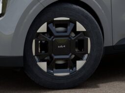 
										Kia Carnival full									