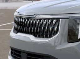 
										Kia Carnival full									