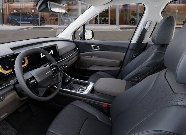 
								Kia Carnival full									