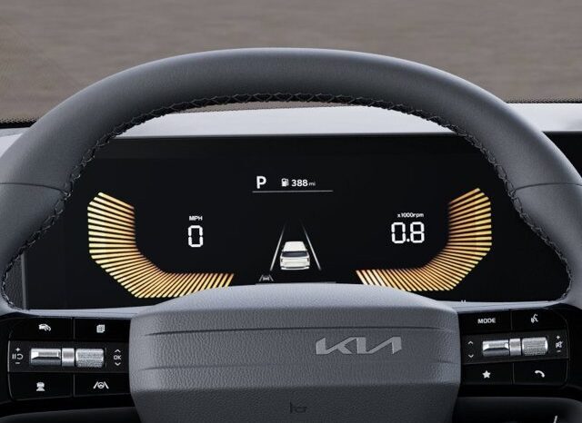 
								Kia Carnival full									