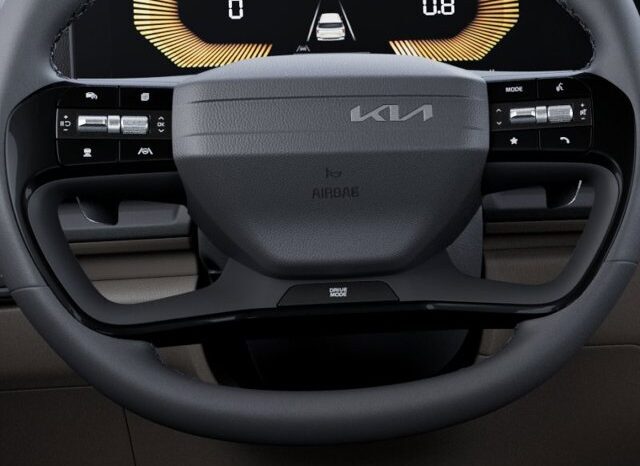 
								Kia Carnival full									