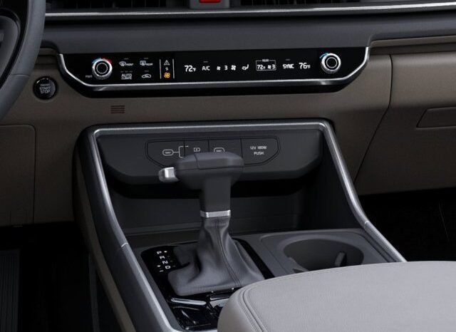 
								Kia Carnival full									