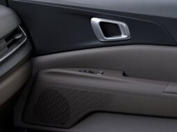 
										Kia Carnival full									