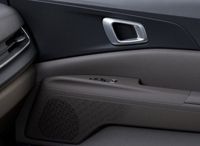 
								Kia Carnival full									