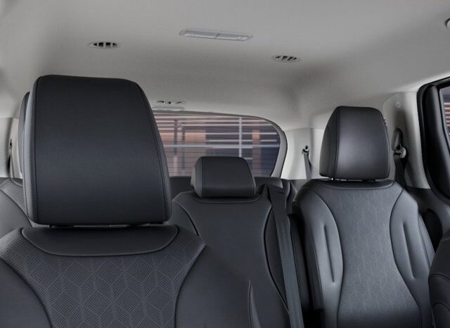 
								Kia Carnival full									