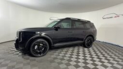 
										Kia Telluride full									