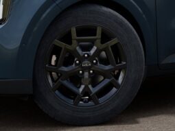 
										Kia Carnival Hybrid full									