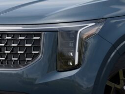 
										Kia Carnival Hybrid full									