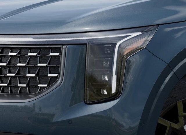 
								Kia Carnival Hybrid full									