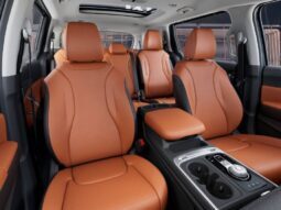 
										Kia Carnival Hybrid full									
