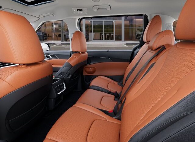 
								Kia Carnival Hybrid full									