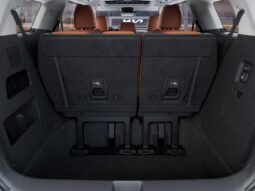 
										Kia Carnival Hybrid full									