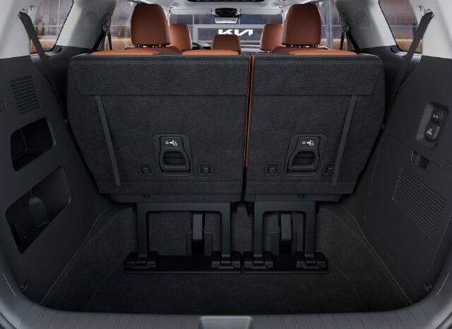 
								Kia Carnival Hybrid full									