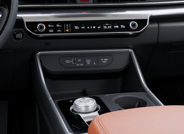 
								Kia Carnival Hybrid full									
