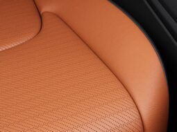 
										Kia Carnival Hybrid full									